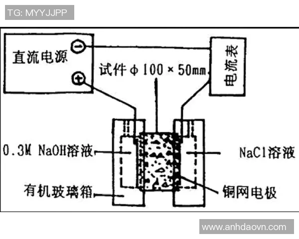 深圳排球队边路渗透战术分析及其对比赛结果的影响探讨