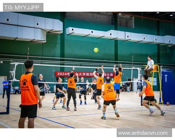 深圳排球队在全国排球团队协作排行榜中荣获第十名的佳绩分析